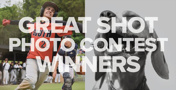 The Colophon Balfour Yearbooks Blog